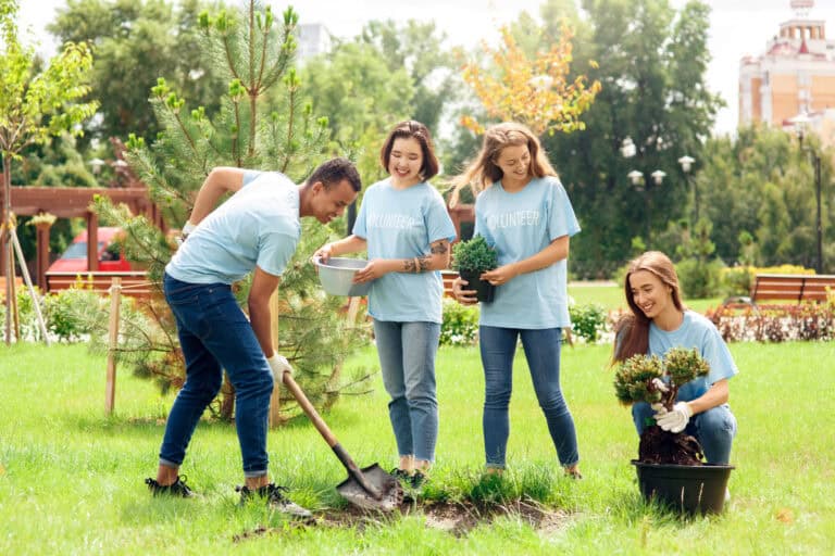 własny w projekcie NGO