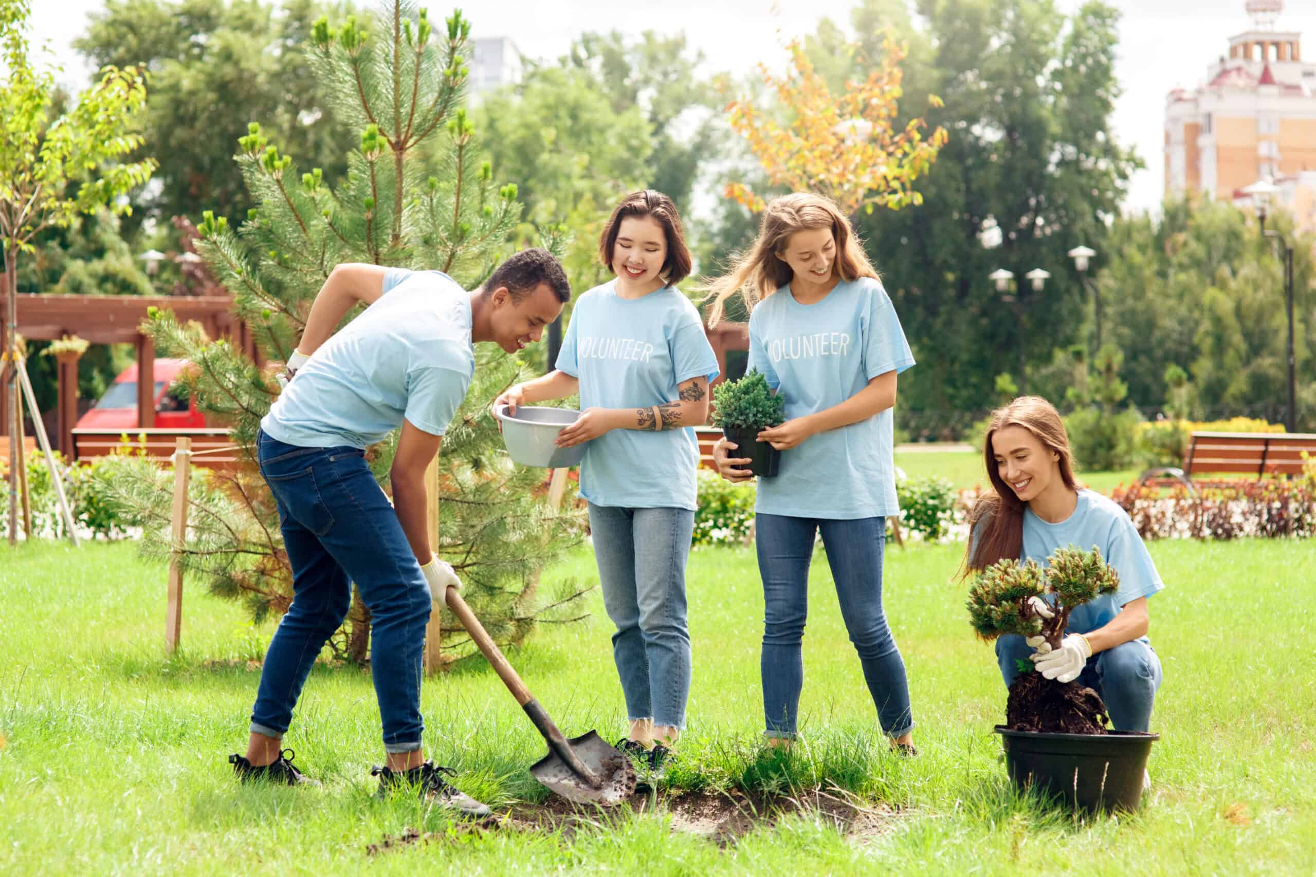 własny w projekcie NGO